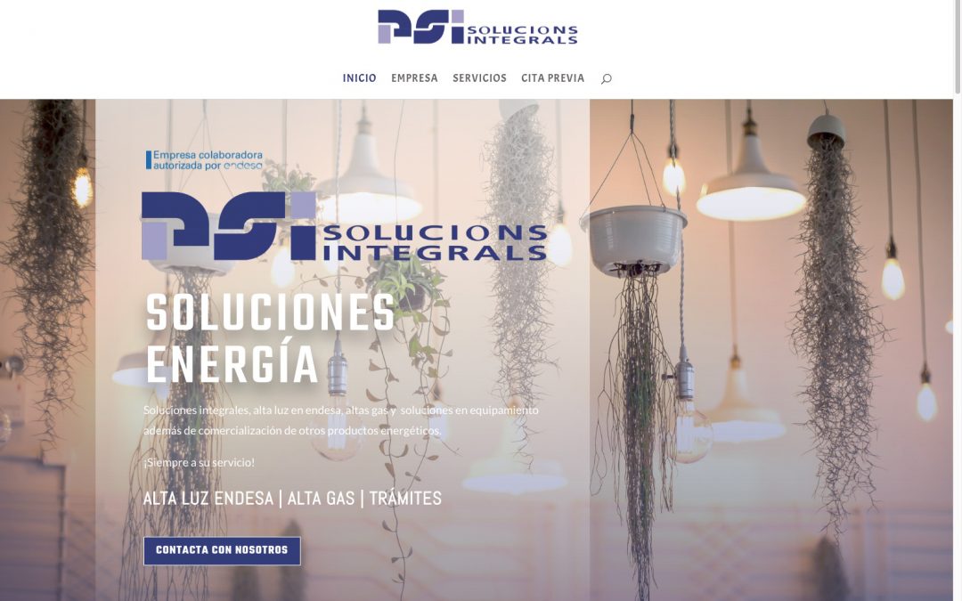 PSI Solucions Integrals