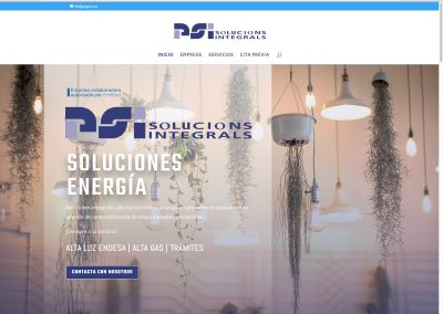 PSI Solucions Integrals